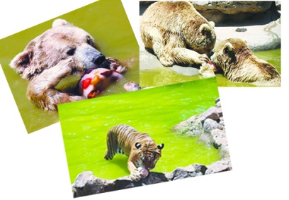 Etli, buzlu kokteyl keyfi yapıyorlar