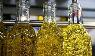 Türkiye, zeytin üretiminde tüm zamanların en yüksek rekoltesine ulaştı