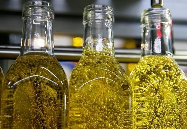 Türkiye, zeytin üretiminde tüm zamanların en yüksek rekoltesine ulaştı
