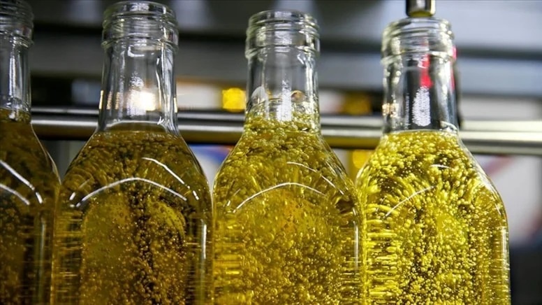 Türkiye, zeytin üretiminde tüm zamanların en yüksek rekoltesine ulaştı