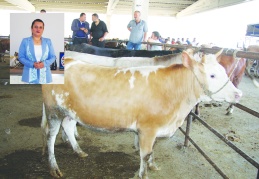 Şap hastalığı gıda güvenliği ve  halk sağlığı açısından risk oluşturuyor