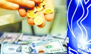 EURO, külçe altın ve mevduat faizi kazandırdı