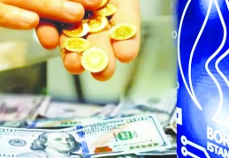 EURO, külçe altın ve mevduat faizi kazandırdı