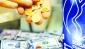 EURO, külçe altın ve mevduat faizi kazandırdı