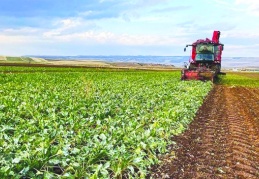 Çiftçilere BAĞ-KUR zorunluluğu geliyor