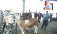 Yemler çok pahalı üretici çok perişan