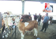 Yemler çok pahalı üretici çok perişan