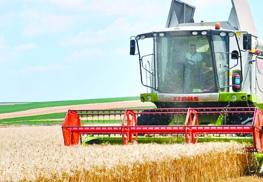 Güneydoğu’da kuraklık, hububat üretimini vurdu…