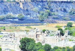 Temmuz ayındaki orman yangınları geniş çaplı yıkıma dönüştü