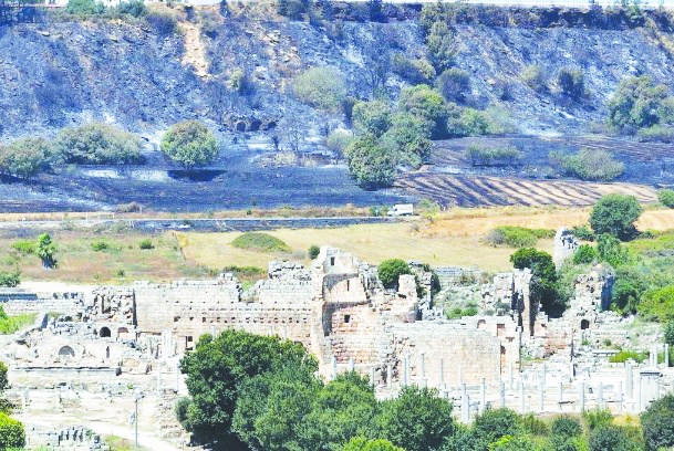 Temmuz ayındaki orman yangınları geniş çaplı yıkıma dönüştü