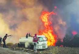 Antep, orman yangını konusunda  aşırı riskli iller arasında