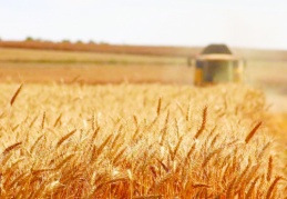 3 bin 327 tarla, 211 bağ, 32 traktör ve 18 tarım makinesi icra yoluyla satışa çıkarıldı