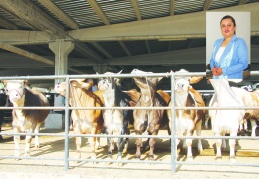 Daha sıkı kontrol ve önlem gerekiyor