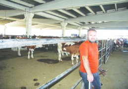 Girdi maliyetleri çok yüksek Antep’te besici kalmadı…