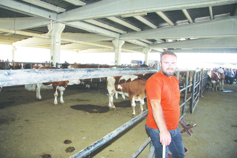 Girdi maliyetleri çok yüksek Antep’te besici kalmadı…