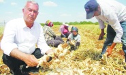 Sarımsak üreticilerini  stokçuların eline bırakmayın