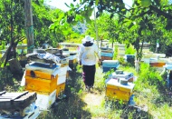 Yeni sistemle beraber arıcılık  büyük bir sektör haline gelecek