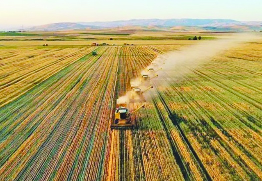İşlenmeyen 14 bin dekar tarım arazisi kiraya çıkıyor