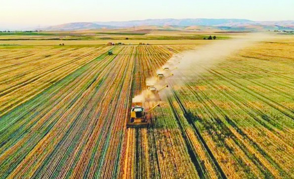 İşlenmeyen 14 bin dekar tarım arazisi kiraya çıkıyor