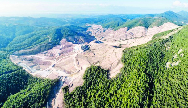 Okullardaki ilk ders!!! “Yeşili sevelim, ormanı koruyalım” deyip geçecekler