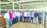 İnsan ümitvar olmak istiyor ama  her geçen gün geçmişi arıyoruz