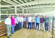 İnsan ümitvar olmak istiyor ama  her geçen gün geçmişi arıyoruz