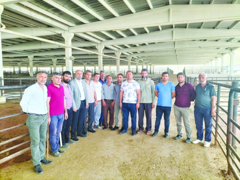 İnsan ümitvar olmak istiyor ama  her geçen gün geçmişi arıyoruz