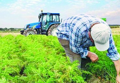 Ülkemizin tarımsal üretim kapasitesi ciddi risk altına girebilir