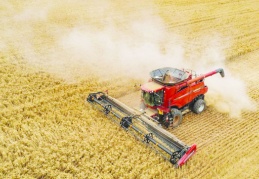 Üretici fiyatları yıllık bazda arttı