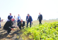 Şeker pancarı hasadı yapıldı