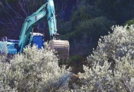 "Bu yasa son derece önemli bir yıkım yasasıdır"