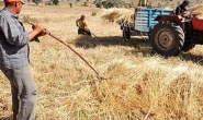 Çiftçinin borcu 1 trilyon TL’yi aştı