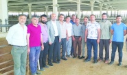 Hayvan başına 300-800 lira  arasında destekleme alınacak