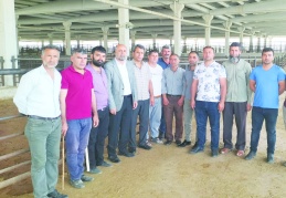 Hayvan başına 300-800 lira  arasında destekleme alınacak