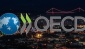 OECD Türkiye'ye yönelik tahminlerini revize etti