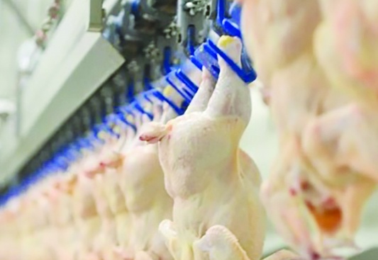 Beyaz et sektörünün önde gelen firmalarına ceza yağdı