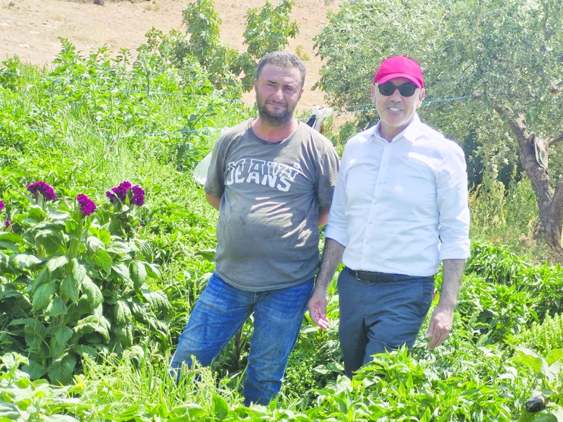 İthalat belirsizliği, stokçuluk  ve spekülasyon risklerini artırır