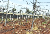 Su krizi yalnızca çevre değil bir tüketici hakkı sorunudur