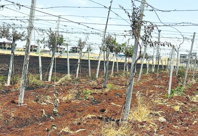 Su krizi yalnızca çevre değil bir tüketici hakkı sorunudur