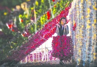 Kurutmalıklar dünya mutfağının da gözdesi oldu