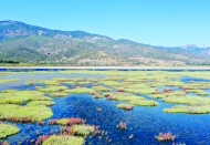 AKP milletvekillerinin imzası ile milli parklar da talan edilecek