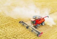 En büyük pay tarım arazilerinin...