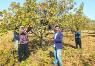 Tarımda üretimin sürdürülebilirliği, üreticinin emeğinin karşılığını almasıyla mümkün