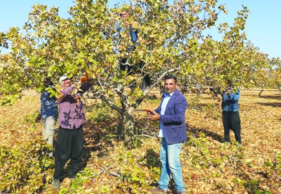 Tarımda üretimin sürdürülebilirliği, üreticinin emeğinin karşılığını almasıyla mümkün
