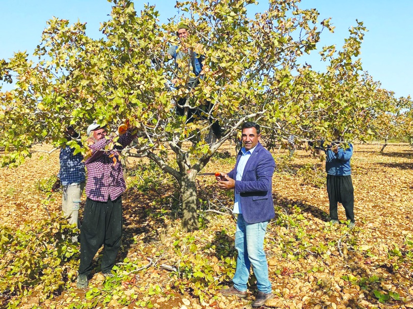 Tarımda üretimin sürdürülebilirliği, üreticinin emeğinin karşılığını almasıyla mümkün