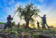 Ürünlerimizin markalaşması kültürel bir mesele