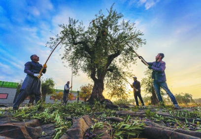 Ürünlerimizin markalaşması kültürel bir mesele