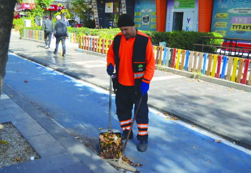 Yaprak toplama mesaisi başladı