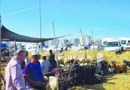 Üreticilerimize 9-12 milyon arasında katkı sağlamış olacağız