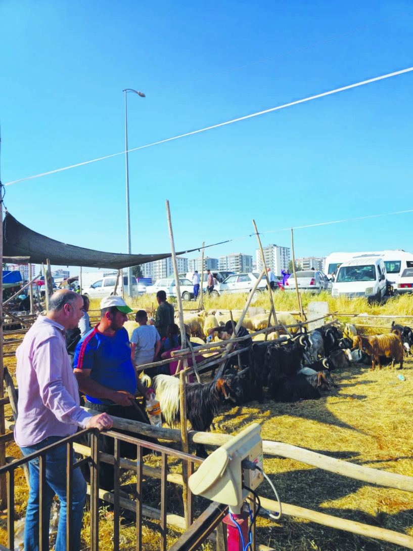 Üreticilerimize 9-12 milyon arasında katkı sağlamış olacağız